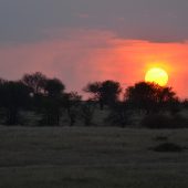  The Serengeti, TZ
